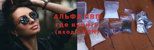 хмурый Аркадак