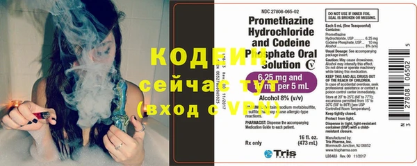 хмурый Аркадак