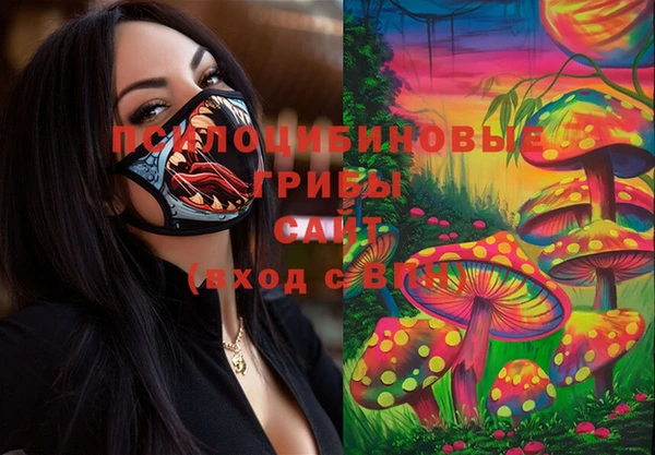 хмурый Аркадак
